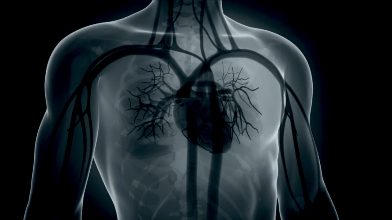 Fallback image while video loads